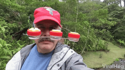 A Man Wearing A Red Hat Has A Bird Feeder Attached To His Head GIF