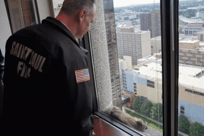 A Man Wearing A Saint Paul Fire Jacket Looks Out A Window GIF