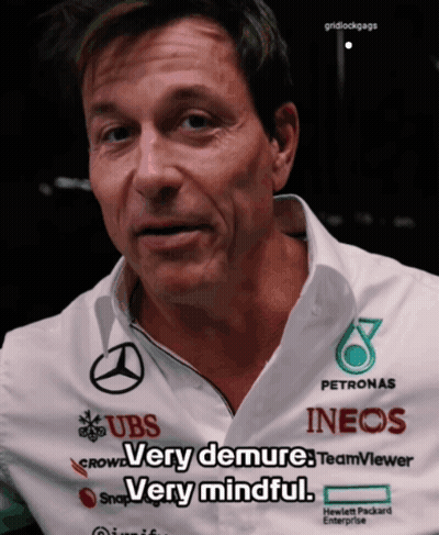 A Man Wearing A Shirt That Says ' Very Demure Very Mindful ' On It GIF