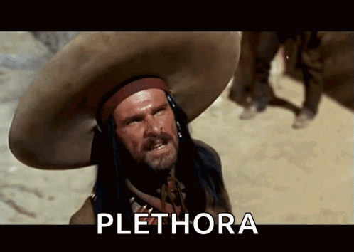 A Man Wearing A Sombrero Says Plethora In A Movie Scene GIF