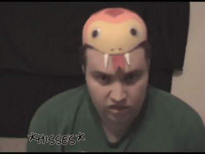 A Man Wearing A Stuffed Snake On His Head With The Words * Hisses * Written Below Him GIF