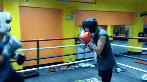 A Man Wearing Everlast Boxing Gloves Is In The Ring GIF