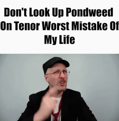 A Man Wearing Glasses And A Hat Says " Do N't Look Up Pondweed On Tener Worst Mistake Of My Life " GIF