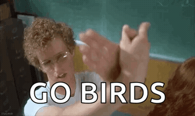 A Man Wearing Glasses Is Giving A High Five To A Dog And The Words `` Go Birds '' Are Written On The Screen . GIF
