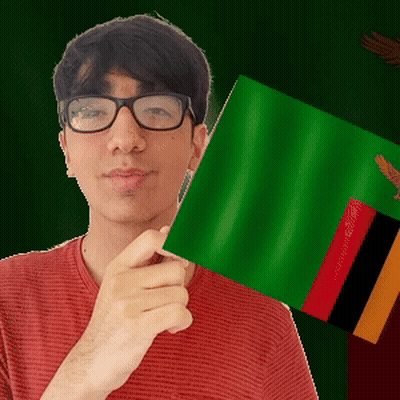 A Man Wearing Glasses Is Holding A Green And Red Flag GIF