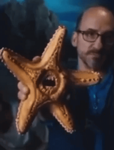 A Man Wearing Glasses Is Holding A Starfish In His Hands GIF