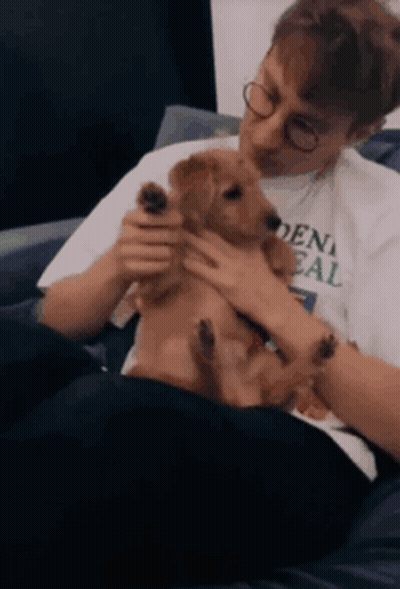 A Man Wearing Glasses Is Petting A Small Brown Dog GIF