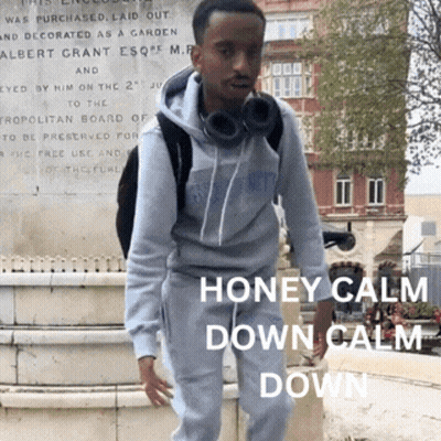 A Man Wearing Headphones Stands In Front Of A Monument That Says " Honey Calm Down Calm Down " GIF