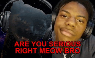 A Man Wearing Headphones With The Words Are You Serious Right Meow Bro On The Bottom GIF