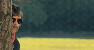 A Man Wearing Sunglasses And A Mustache Looks Out From Behind A Tree GIF