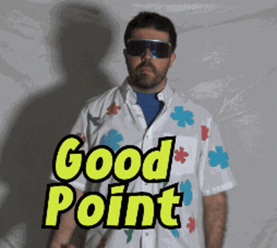 A Man Wearing Sunglasses And A Shirt That Says Good Point On It GIF