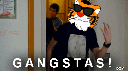 A Man Wearing Sunglasses And A Tiger Mask Says Gangstas GIF