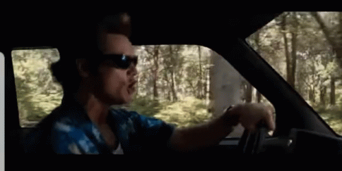 A Man Wearing Sunglasses Is Driving Through The Woods GIF