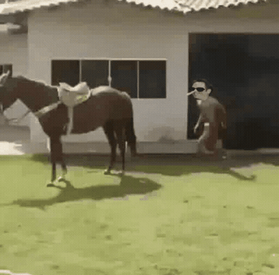 A Man Wearing Sunglasses Is Standing Next To A Horse In Front Of A House . GIF