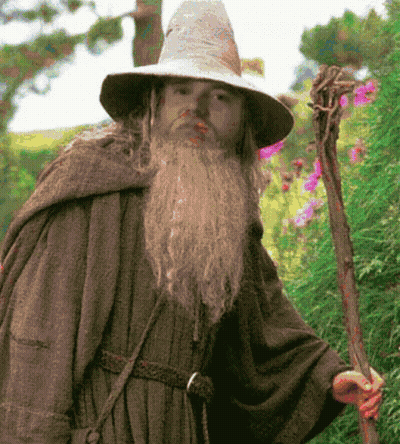 A Man With A Beard And A Hat Is Holding A Stick GIF