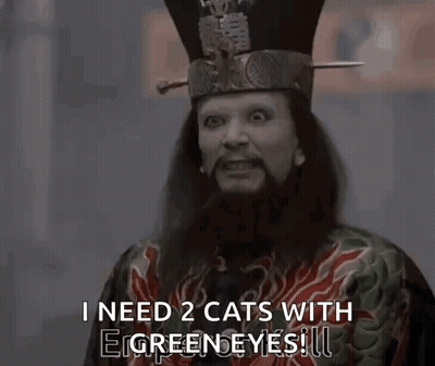 A Man With A Beard And A Hat Is Saying I Need 2 Cats With Green Eyes . GIF