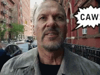 A Man With A Beard And A Speech Bubble Saying Caw GIF