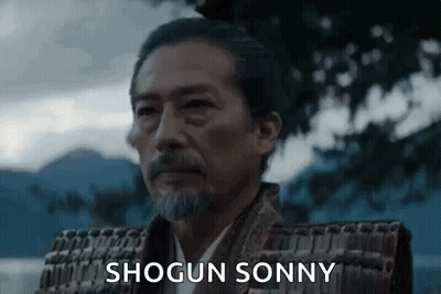 A Man With A Beard And Armor Is Standing In Front Of A Body Of Water And A Tree . GIF