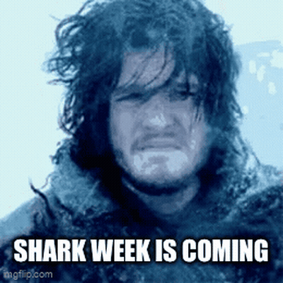 A Man With A Beard And Long Hair Is Crying In The Snow . GIF