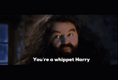 A Man With A Beard And Long Hair Is Saying You 'Re A Whippet Harry . GIF