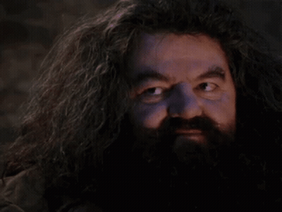 A Man With A Beard And Long Hair Looks Surprised GIF