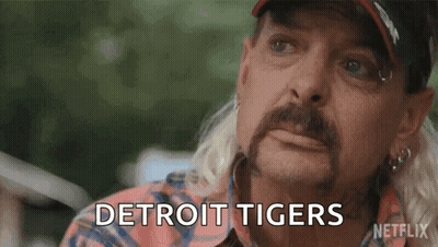 A Man With A Beard And Mustache Is Wearing A Plaid Shirt And Hat And Says Detroit Tigers . GIF