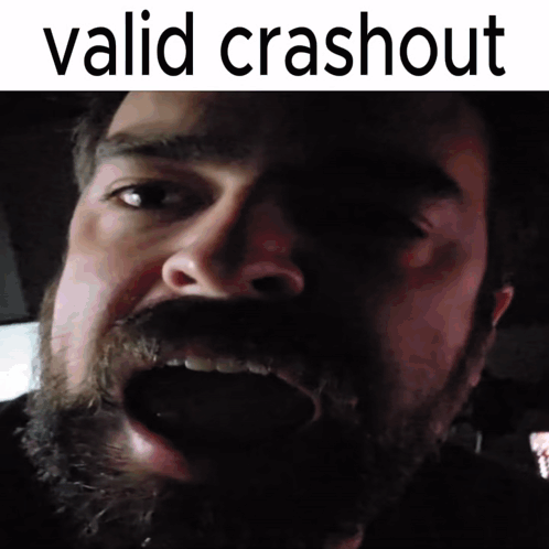 A Man With A Beard Has His Mouth Open And The Words Valid Crashout Written Above Him GIF