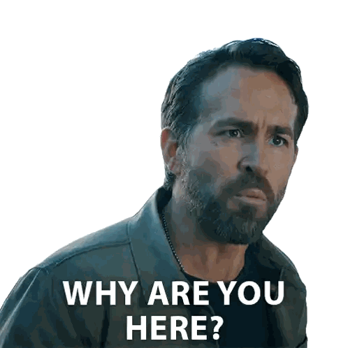 A Man With A Beard Is Asking The Question Why Are You Here Sticker