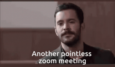 A Man With A Beard Is Having A Zoom Meeting With Another Pointless Zoom Meeting . GIF