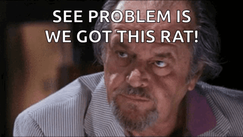 A Man With A Beard Is Looking At The Camera With The Words `` See Problem Is We Got This Rat '' Written Above Him . GIF