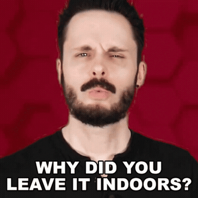 A Man With A Beard Is Making A Funny Face With The Words Why Did You Leave It Indoors GIF
