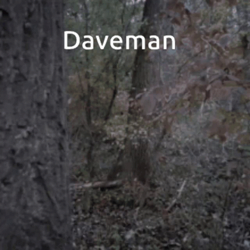 A Man With A Beard Is Peeking Out From Behind A Tree With Daveman Written Above Him GIF