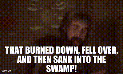 A Man With A Beard Is Saying `` That Burned Down , Fell Over , And Then Sank Into The Swamp '' GIF