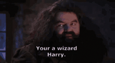 A Man With A Beard Is Saying Your A Wizard Harry . GIF