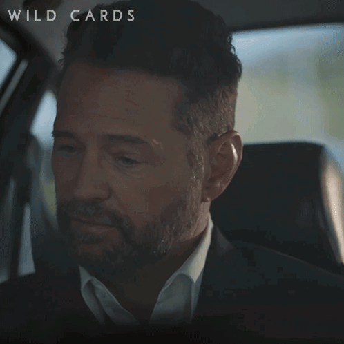 A Man With A Beard Is Sitting In A Car And Says " Whatever You Say Boss " GIF