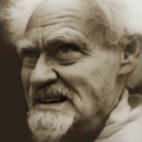 A Man With A Beard Is Smiling For The Camera In A Black And White Photo GIF