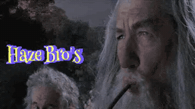 A Man With A Beard Is Smoking A Cigarette In Front Of A Haze Bro 'S Sign GIF