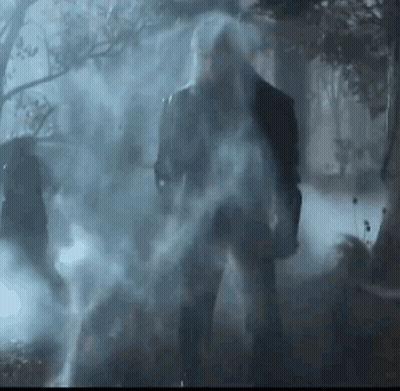 A Man With A Beard Is Standing In A Foggy Forest . GIF