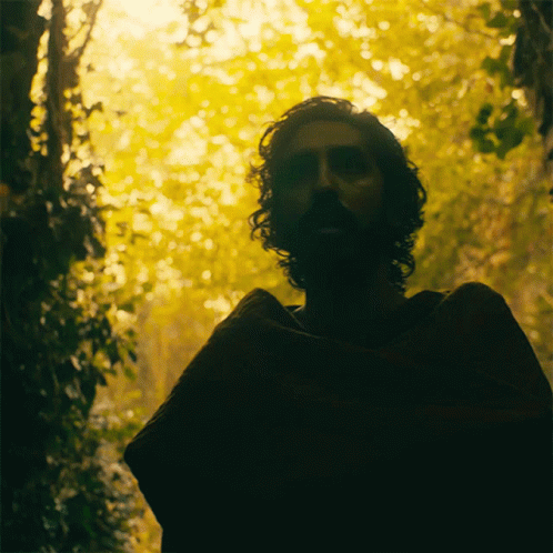 A Man With A Beard Is Standing In A Forest With Trees In The Background GIF