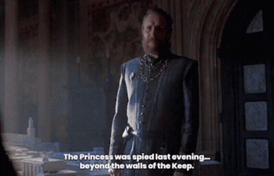 A Man With A Beard Is Standing In A Room And Says The Princess Was Sped Last Evening Beyond The Walls GIF