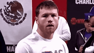 A Man With A Beard Is Standing In Front Of A Mexican Flag And Looking At The Camera . GIF