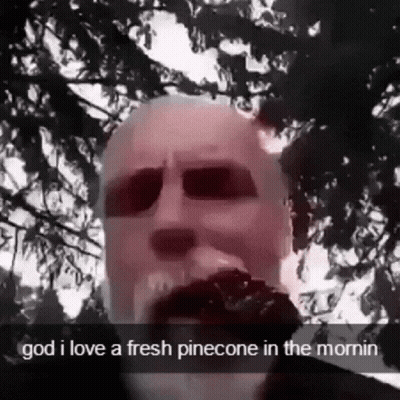 A Man With A Beard Is Standing In Front Of A Tree And Says `` God I Love A Fresh Pinecone In The Morning '' GIF