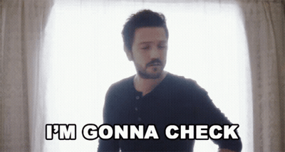 A Man With A Beard Is Standing In Front Of A Window And Says I 'M Gonna Check GIF