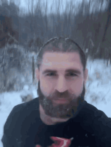 A Man With A Beard Is Standing In The Snow Wearing A Black Shirt With The Letter T On It GIF