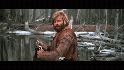 A Man With A Beard Is Standing Next To A River And The Word Vim Is On The Bottom Right GIF