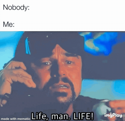 A Man With A Beard Is Talking On A Cell Phone With The Caption Life Man Life GIF
