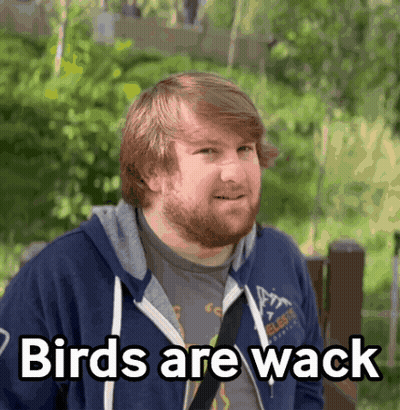 A Man With A Beard Is Wearing A Blue Hoodie That Says " Birds Are Wack " GIF