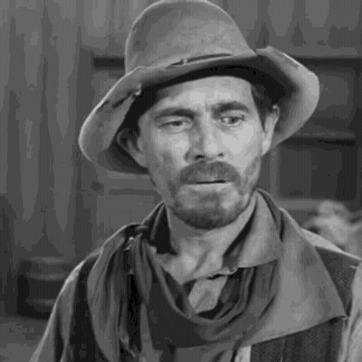 A Man With A Beard Is Wearing A Cowboy Hat And A Scarf Around His Neck . GIF