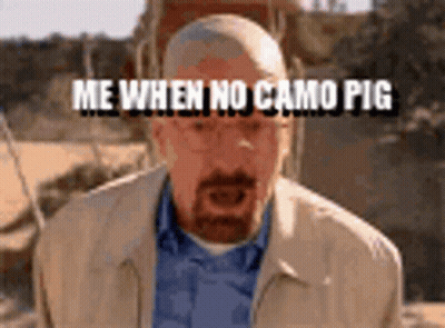 A Man With A Beard Is Wearing Glasses And A Jacket And Says `` Me When No Camo Pig '' GIF