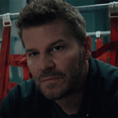 A Man With A Beard Looks At The Camera GIF